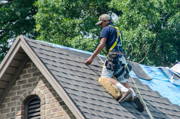 Best Roof Gutter Cleaning  in Lipatria, CA